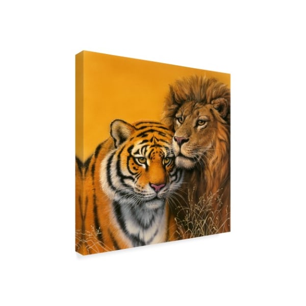 Harro Maass 'Lion & Tiger' Canvas Art,18x18